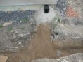 /album/sabenice/priprava-odpadu-pro-okap-jpg/